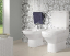 Унитаз-компакт Villeroy & Boch Sentique 5625 1001 alpin